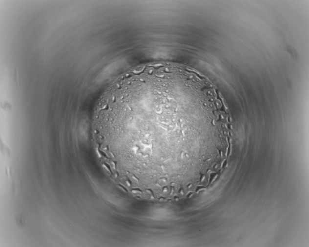 X0000091100175200708131113