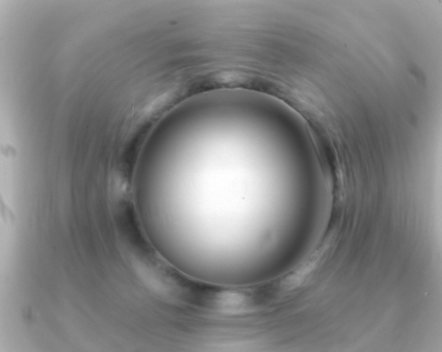 X0000091100176200708131113