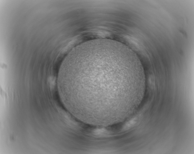 X0000091100177200708131113