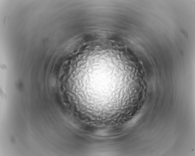 X0000091100178200708131113