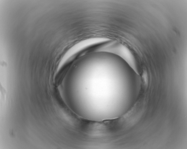 X0000091100180200708131113