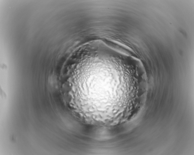 X0000091100182200708131113