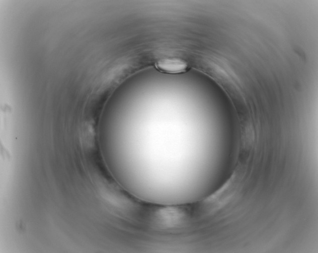 X0000091100183200708131113