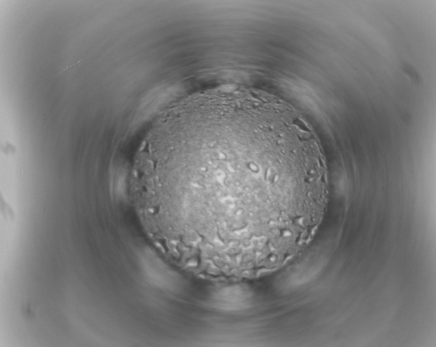 X0000091100185200708131113