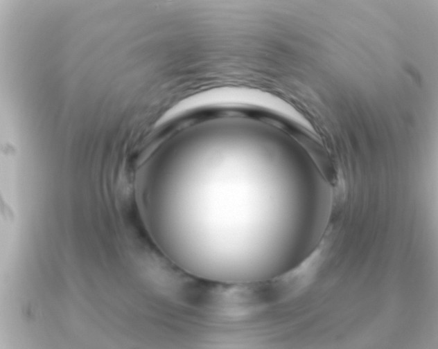 X0000091100186200708131113