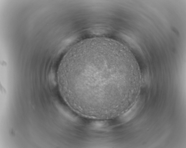 X0000091100187200708131113