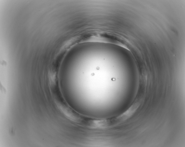 X0000091100188200708131113