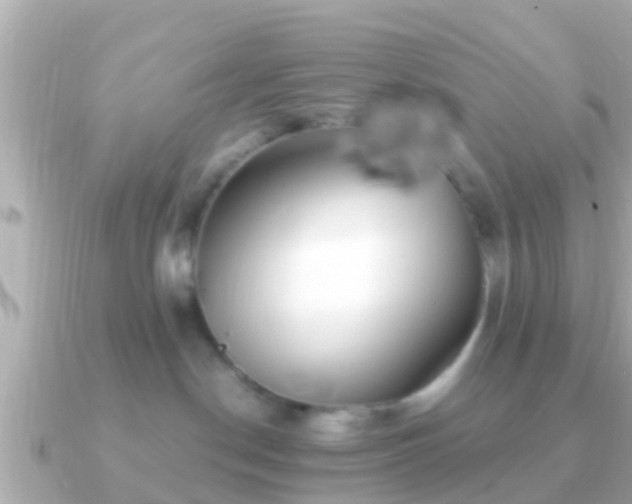 X0000091100190200708131113