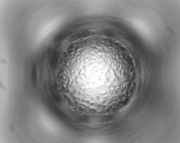 X0000091100191200708131113