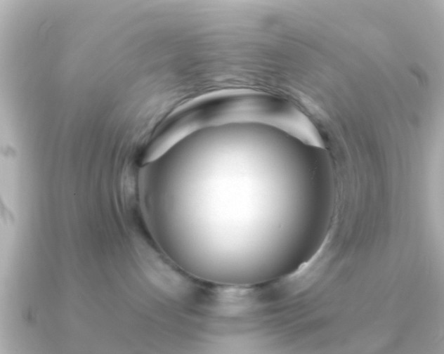 X0000091100192200708131113