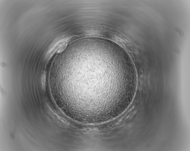 X0000091100194200708131112