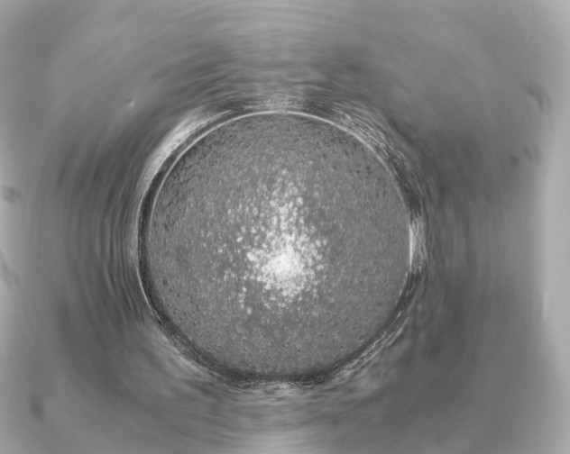 X0000091100195200708131112