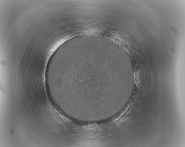 X0000091100196200708131112