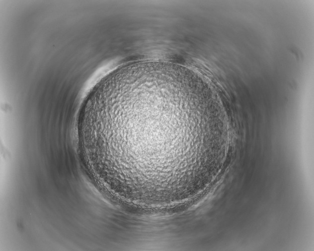 X0000091100198200708131112