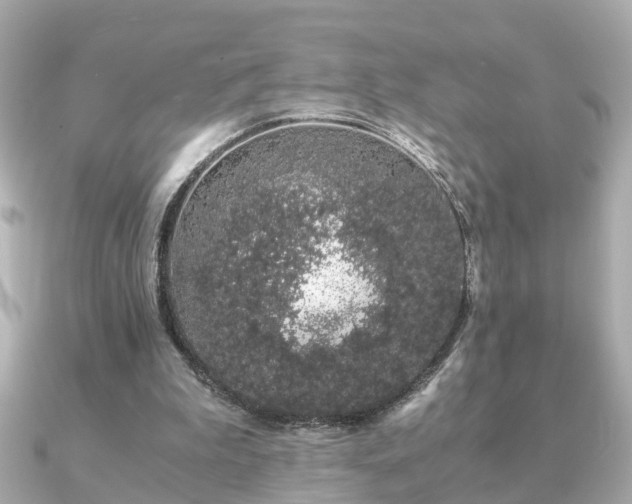 X0000091100199200708131112