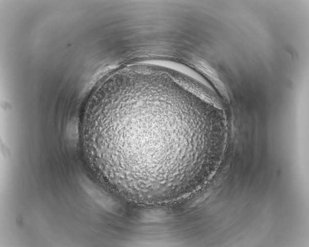 X0000091100202200708131112