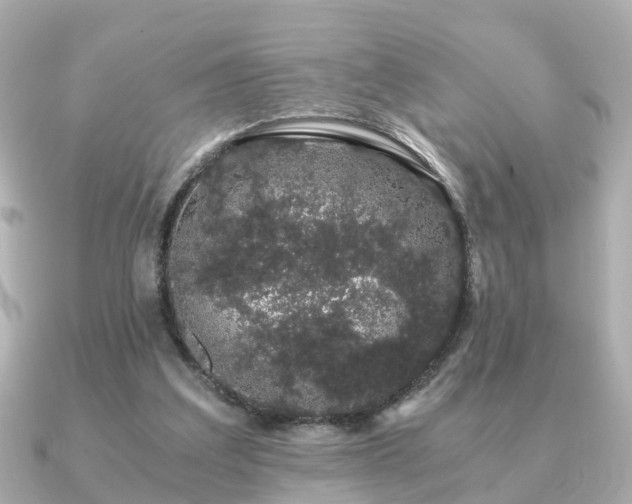 X0000091100203200708131112