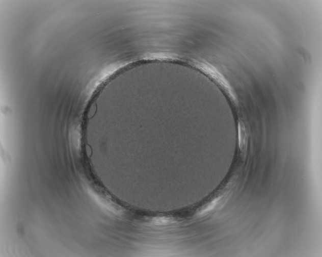 X0000091100204200708131112