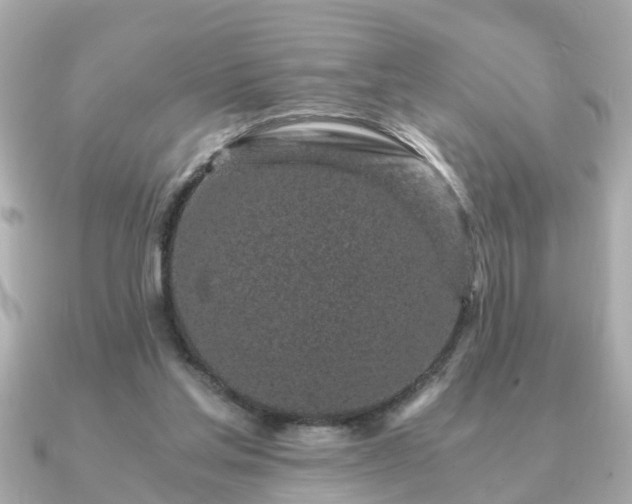 X0000091100205200708131112