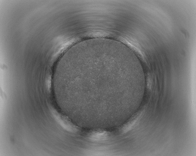 X0000091100206200708131112