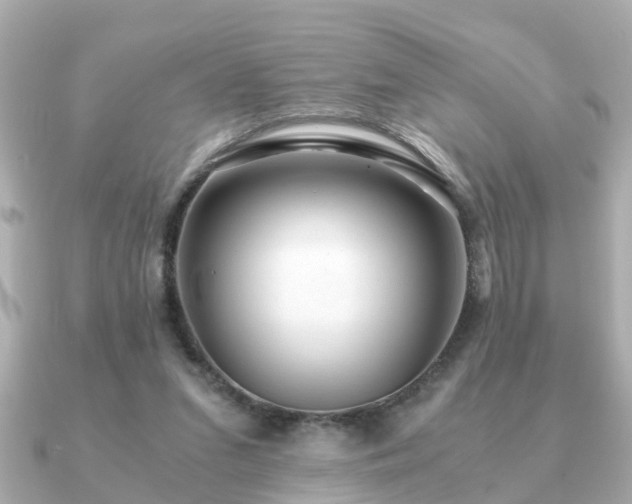 X0000091100207200708131112