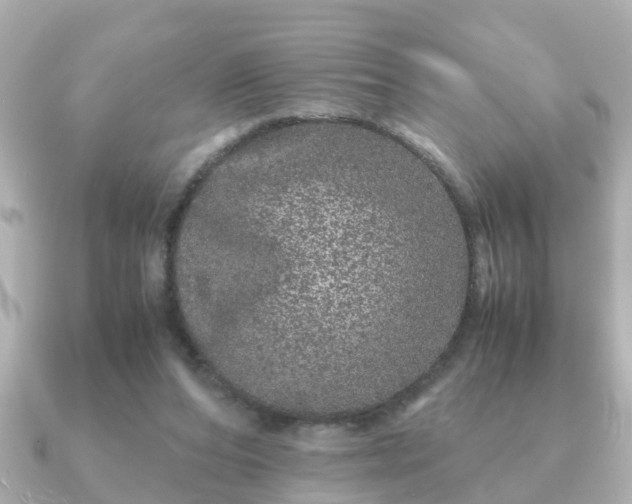 X0000091100208200708131112