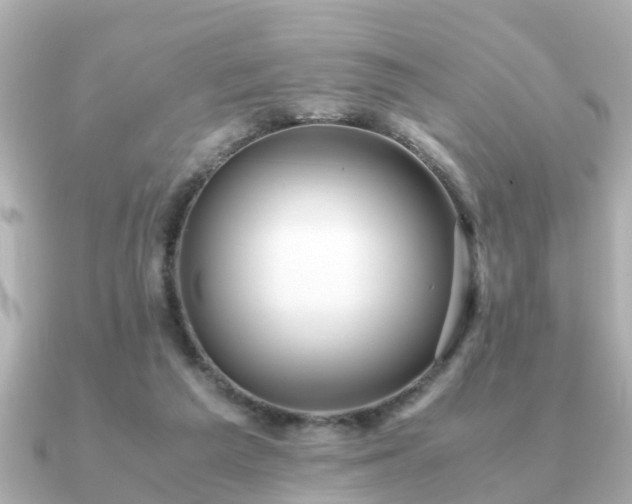 X0000091100209200708131112