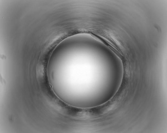 X0000091100211200708131112