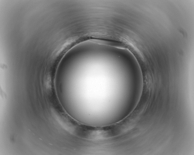 X0000091100212200708131112