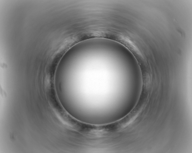 X0000091100213200708131112