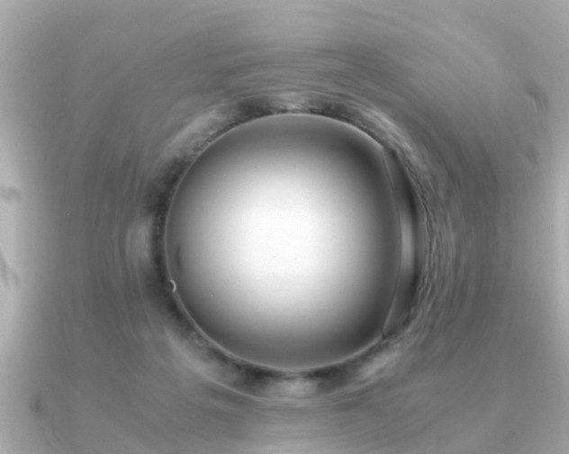 X0000091100217200708131112