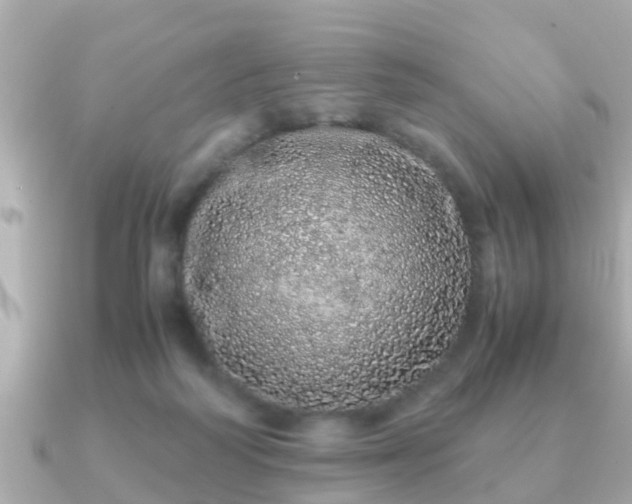 X0000091100218200708131112