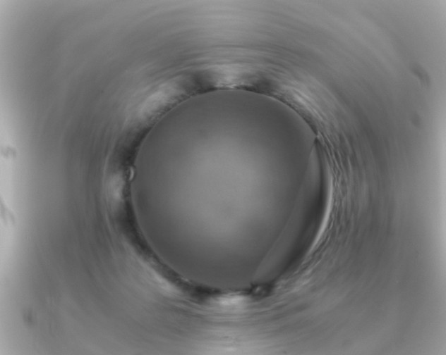 X0000091100219200708131112