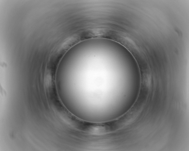 X0000091100220200708131112