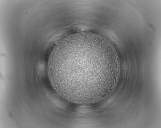 X0000091100222200708131112