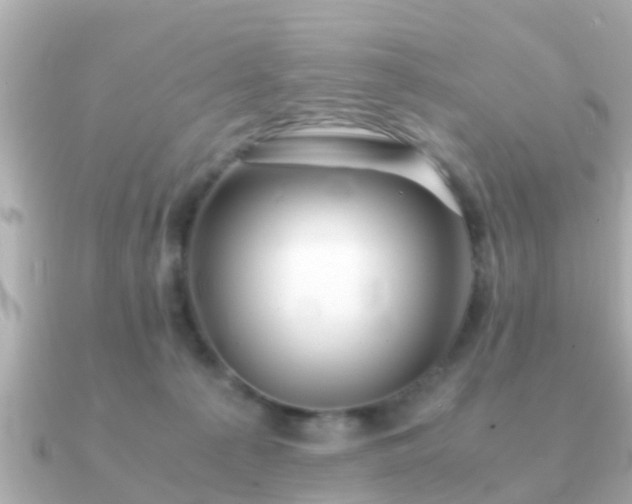 X0000091100225200708131112