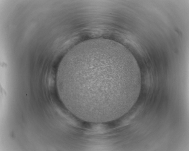 X0000091100226200708131112