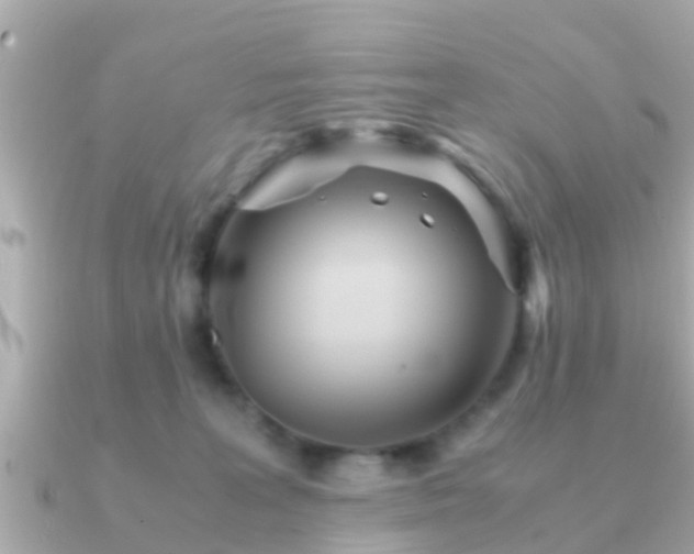 X0000091100227200708131112