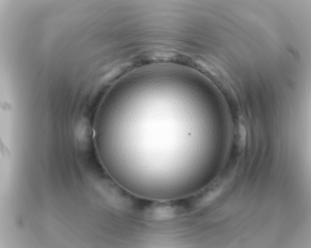 X0000091100228200708131112