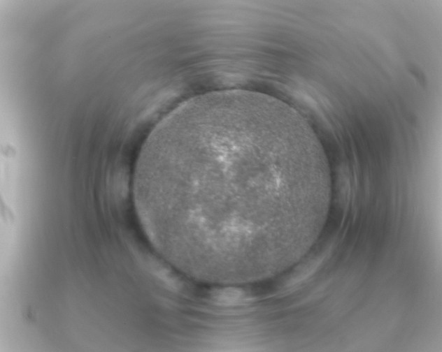 X0000091100230200708131112