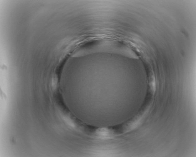 X0000091100231200708131112