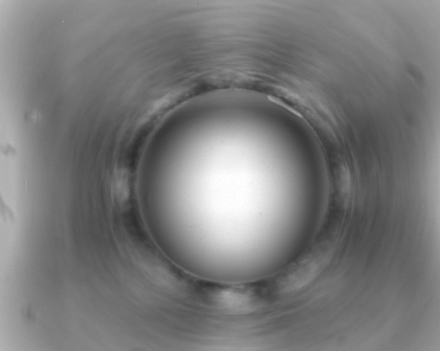 X0000091100232200708131112