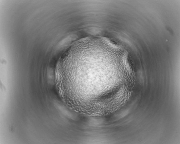 X0000091100234200708131112