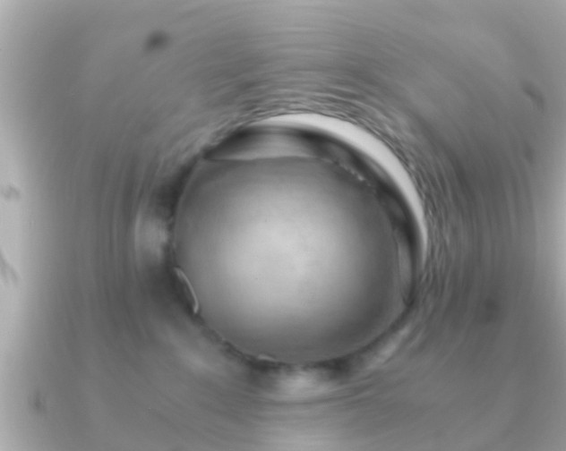 X0000091100235200708131112