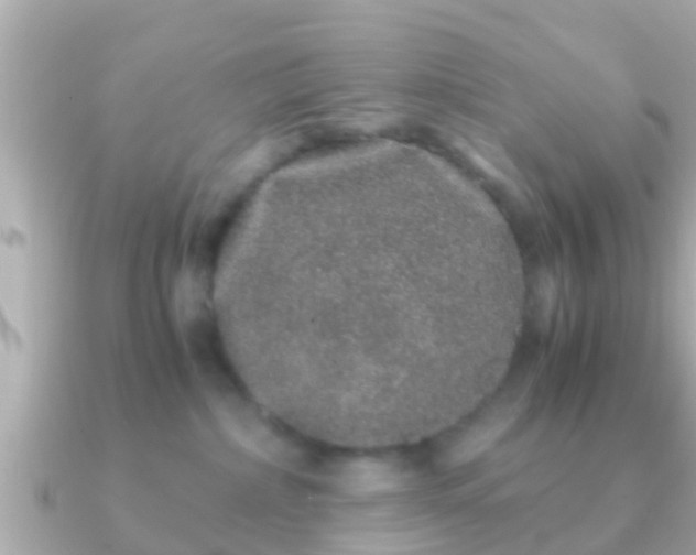 X0000091100236200708131112