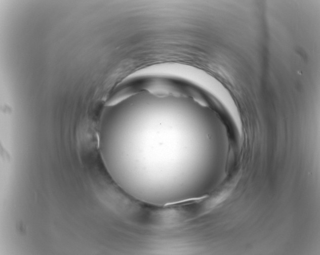 X0000091100237200708131112