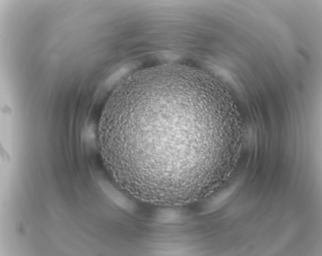 X0000091100238200708131112