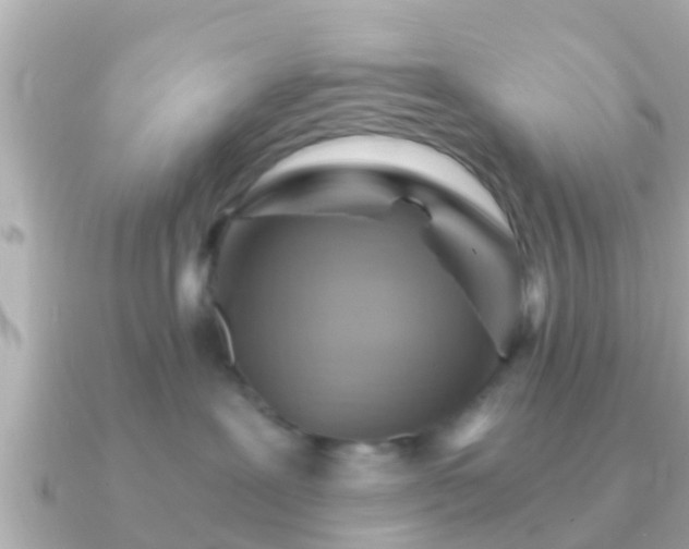 X0000091100239200708131112