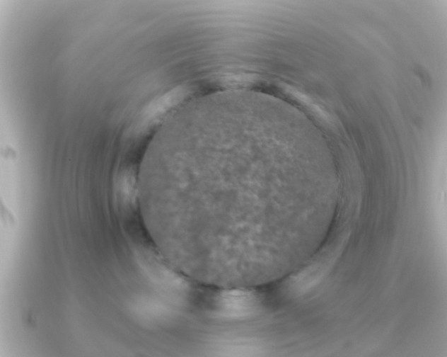 X0000091100240200708131112