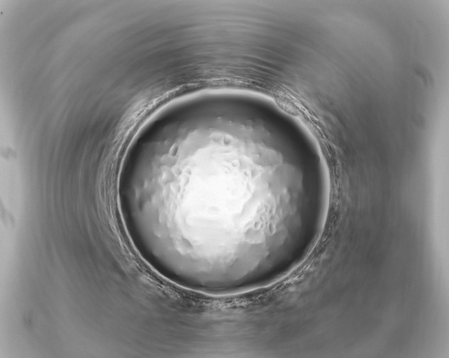 X0000091100241200708131111